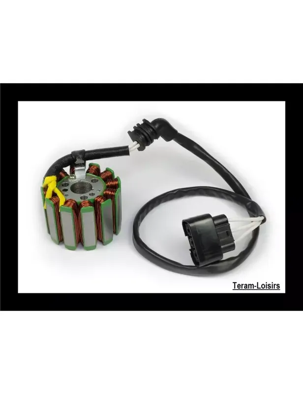 Stator Allumage de Yamaha FZ1 2006 2007 2008 2009 2010 2011 2012 2013 2014 2015 Certifié