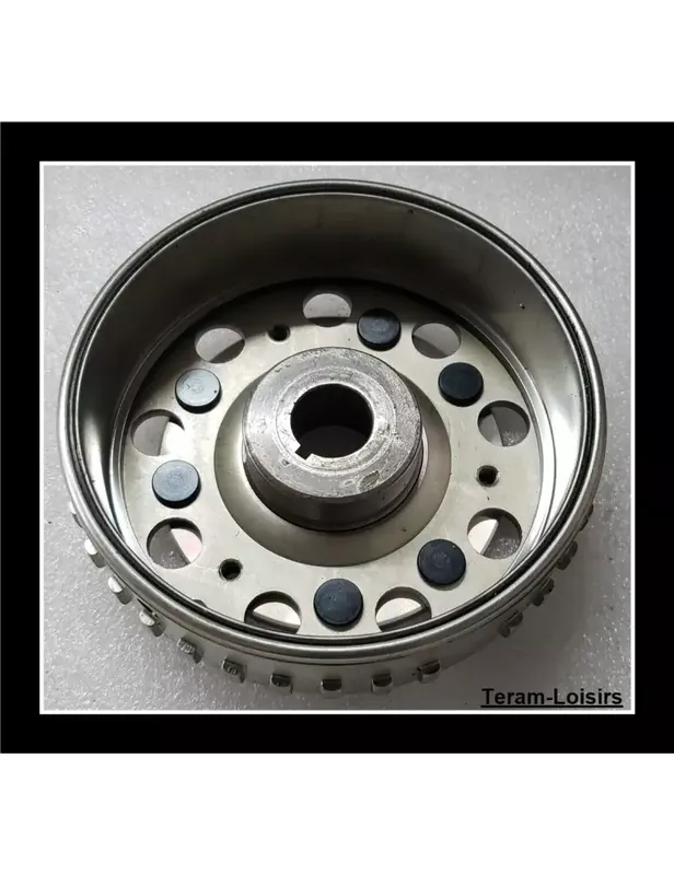 Rotor Volant Magnétique pour Polaris RZR / XP / ACE 570 de 2016 et 2017 Top Vente