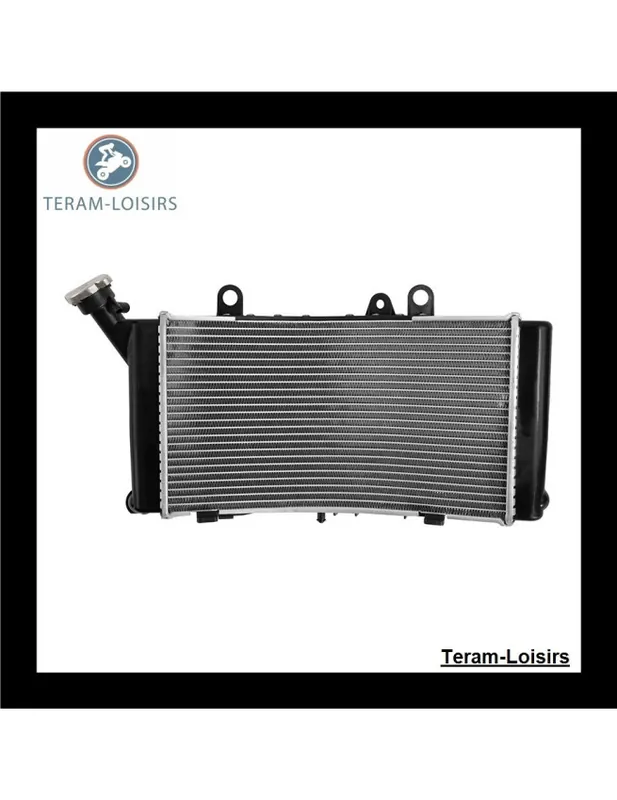 Vente Directe Radiateur pour BMW F 850 GSA / F 850 GSA / F 850 GSA ADVENTURE de 2021 2022