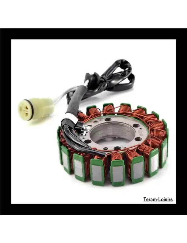 Vente Flash Stator Allumage Alternateur pour Kawasaki ZX6R ZX 6 R 600 636 de 2003 2004
