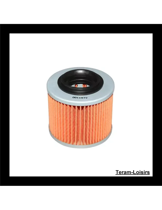 Vente Flash Filtre à Huile pour BMW G 650 GS ABS de 2012 2013 2014 2015 NEUF