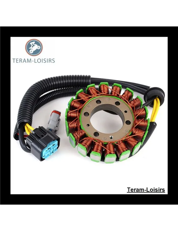 Stator Alternateur pour Ski-Doo MX Zx 600 RS à partir de 2009 NEUF Prix Cassé
