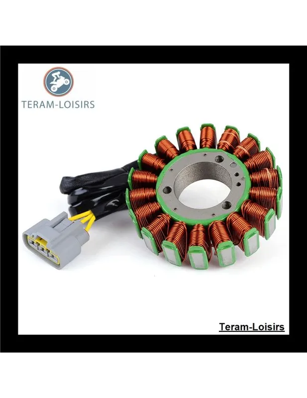 Usine Directe Stator Alternateur pour Ski-doo MX Z 600 Sport ACE EFI de 2011 2012 2013 2014 2015 NEUF