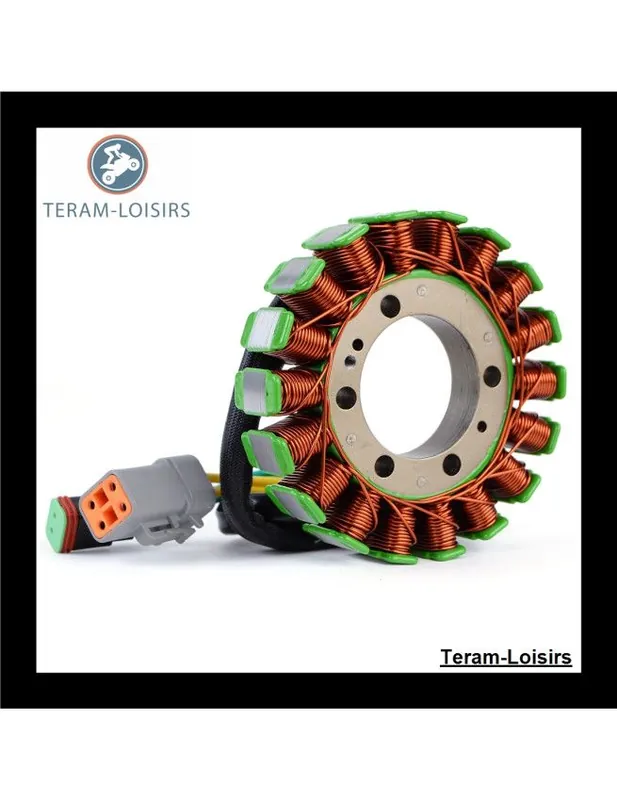 Vente Directe Stator Alternateur pour Ski-doo MX Z 500 Trail RER Carb à partir de 2003 NEUF