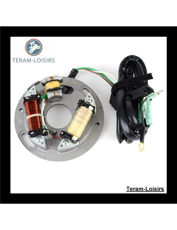 Usine Directe Stator Alternateur pour Yamaha FX1 700 de 1994 1995 NEUF