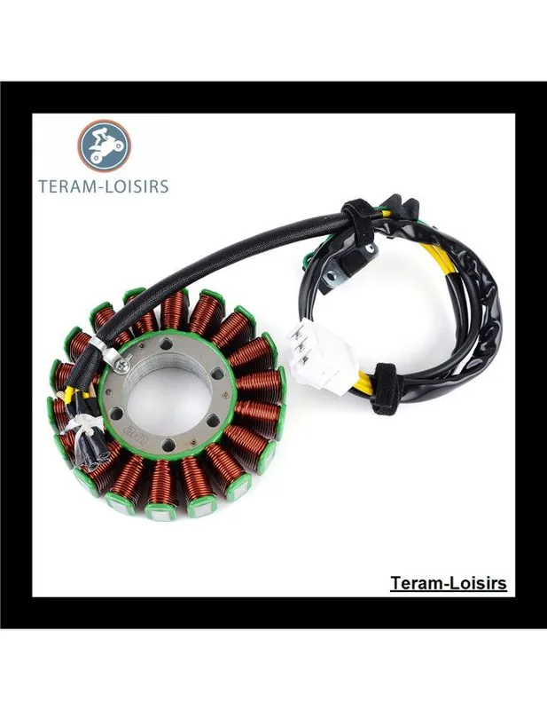 Vente Flash Stator Alternateur pour Arctic Cat Procross F 1100 Sno Pro à partir de 2013 NEUF