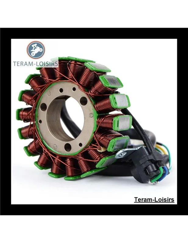 Stator Alternateur pour Honda CBX 250 de 2004 2005 2006 2007 2008 2009 2010 NEUF Promotion