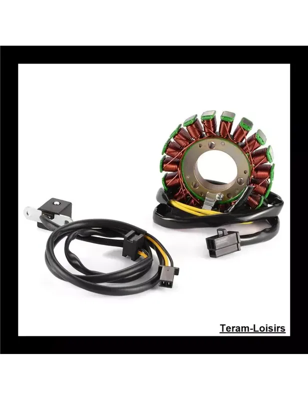 Acheter En Ligne Stator Allumage pour Kawasaki EX250 Ninja 250 de 1986 à 2007