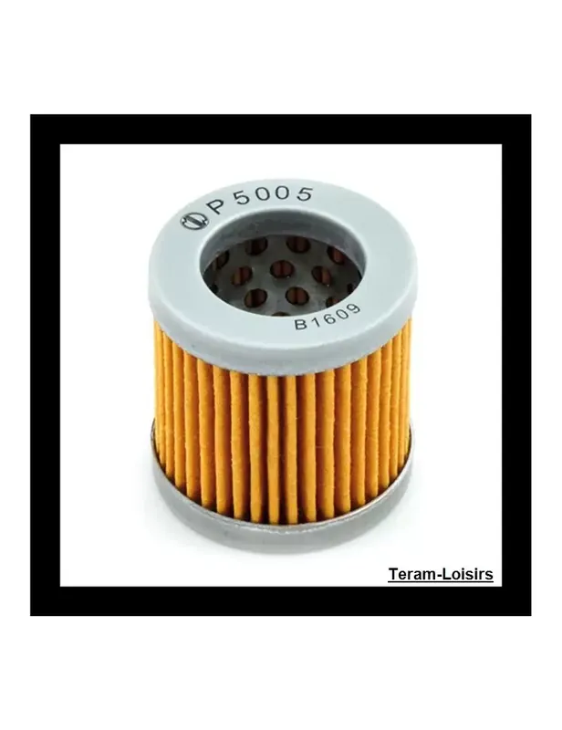 Offre Du Jour Filtre à huile pour APRILIA MOJITO CUSTOM 125 de 1999 2000 2001 2002