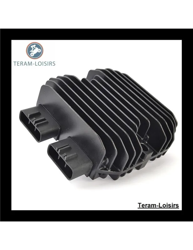 Régulateur Redresseur de Tension pour Segway Villain SX 10 WX Commande En Gros