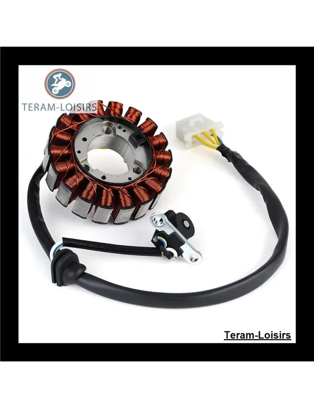 Prix Bas Stator Alternateur pour Honda CB 150 VERSA à partir de 2019