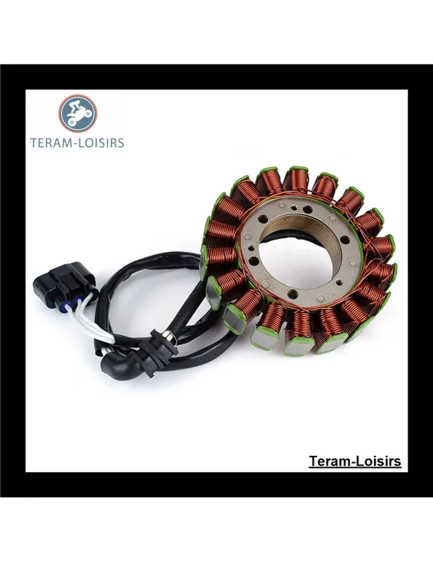 Stator pour Yamaha FJR 1300 A de 2003 2004 2005 2006 2007 2008 2009 2010 2011 2012 Livraison Express