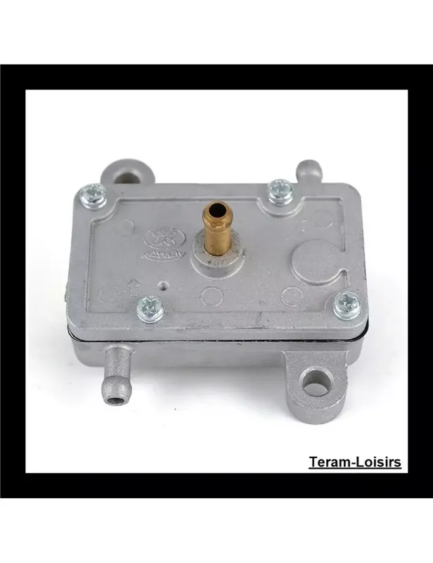 Pompe à Essence pour Arctic Cat Cheetah 340 de 1994 Bon Plan