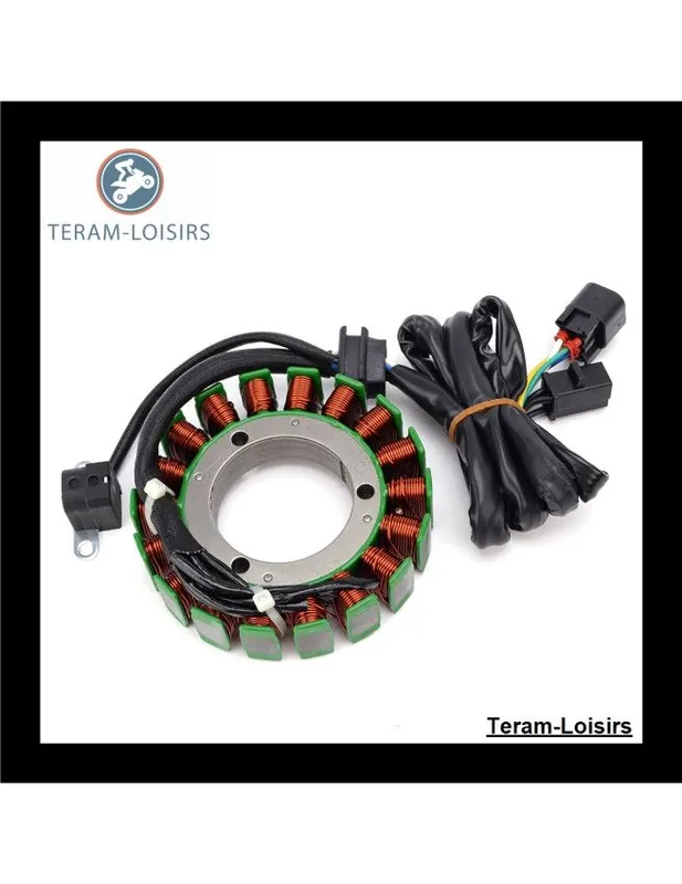 Vente Flash Stator Alternateur pour Arctic Cat 400 Manual de 2001 2002