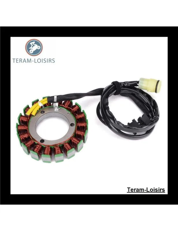 Authentique Stator Alternateur pour Kawasaki KVF 650 Prairie 4X4 de 2002 2003