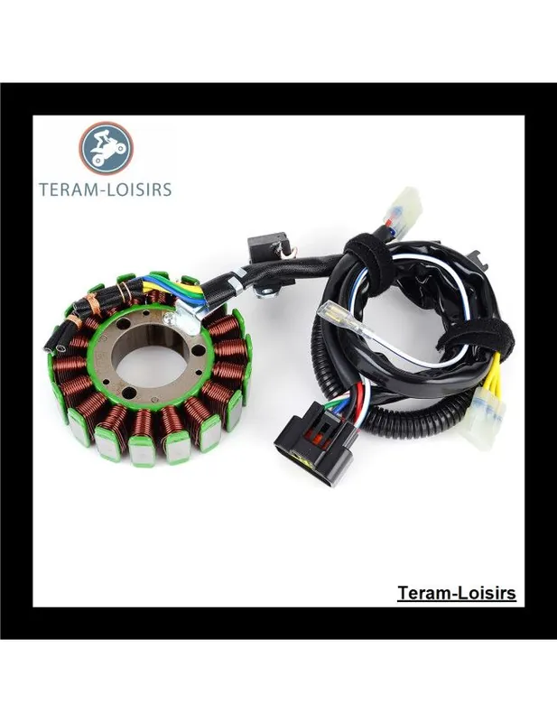 Achat Immédiat Stator Alternateur pour Polaris 500 de 2003 2004