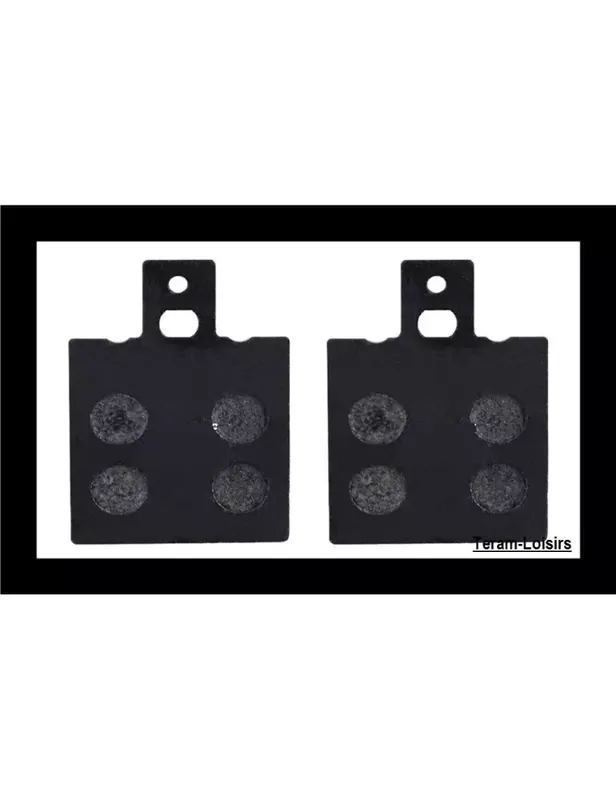Plaquettes de Frein Arrière pour DUCATI Monster S2R Dark 803cc de 2005 à 2006 Soldes