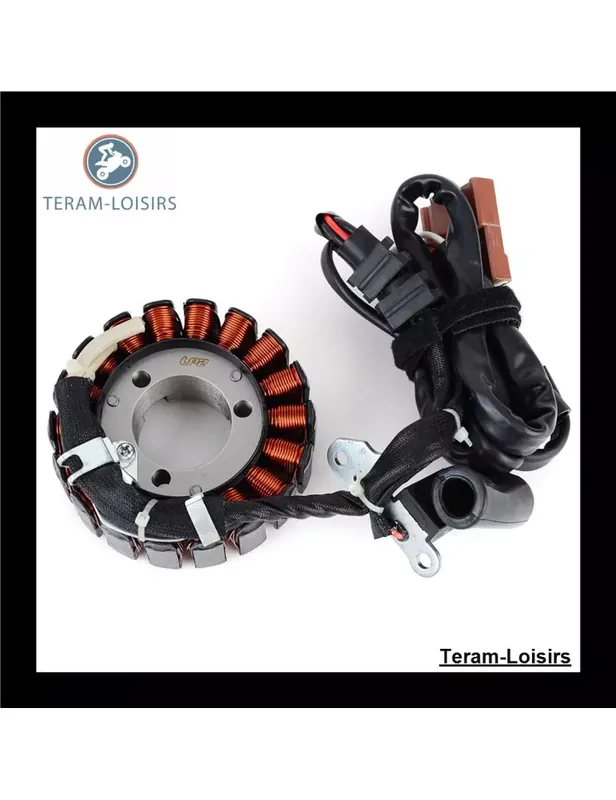 Stator pour Aprilia SR 125 Max de 2011 2012 2013 2014 Bon Marché