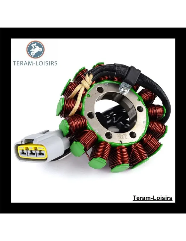 Commande En Gros Stator Alternateur pour Kawasaki ZX 1000 Ninja ZX 10R ZX 1000 FAFA à partir de 2010