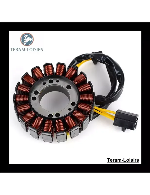 Achat Immédiat Stator pour MV Agusta 8000C0107