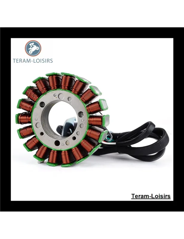 Achat Immédiat Stator pour Yamaha SX 230 HO de 2005 2006 2007 2008 2009