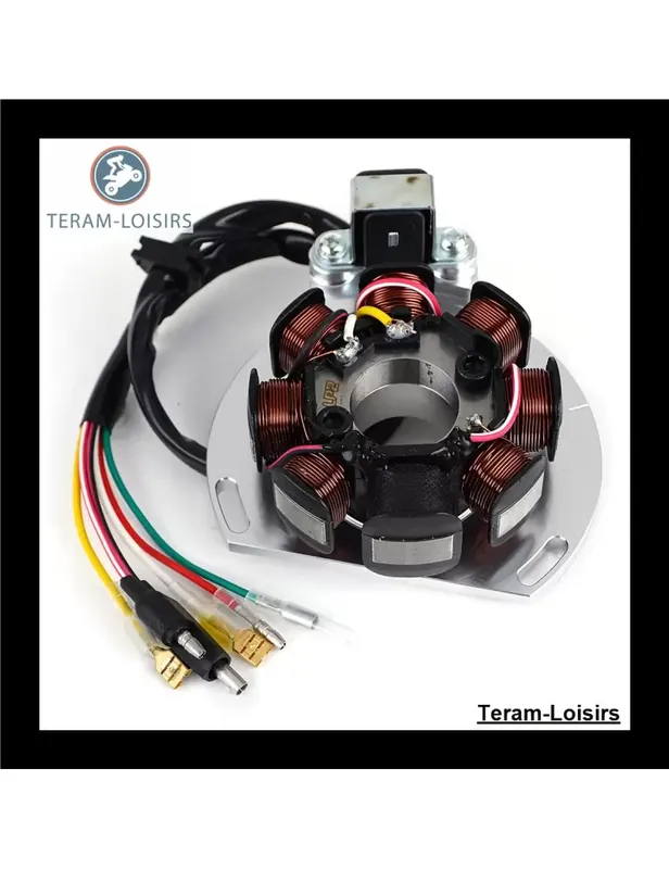 Achat Immédiat Stator Allumage pour KTM 250 SXS de 2001 2002 2003 2004