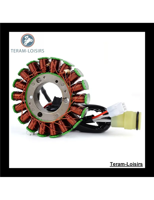 Usine Directe Stator pour Yamaha 4D3-81410-00