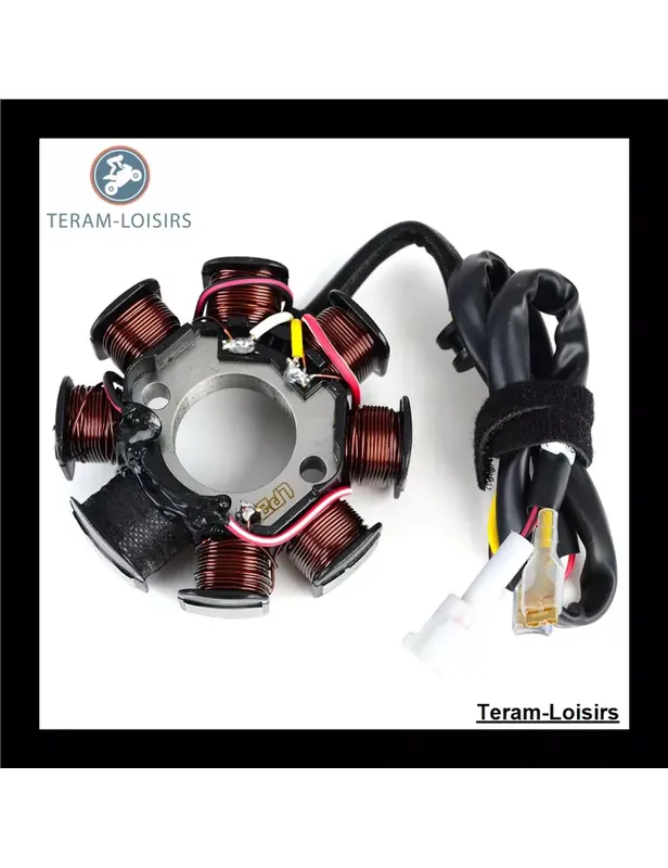 Acheter Direct Stator pour KTM 80039004000