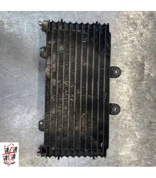 Vente Directe Radiateur d'huile SUZUKI BANDIT 1250 – 2002