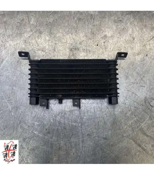 Radiateur d'huile TRIUMPH SPRINT RS 955 – 2005 Expédition Rapide