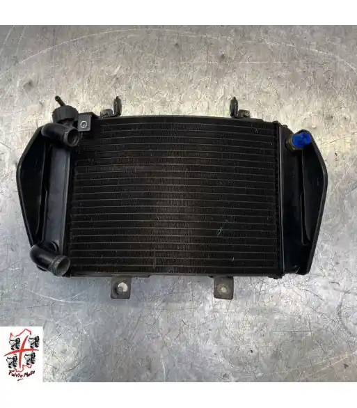 Radiateur d'eau KTM DUKE 690 – 2016 Affaire À Saisir