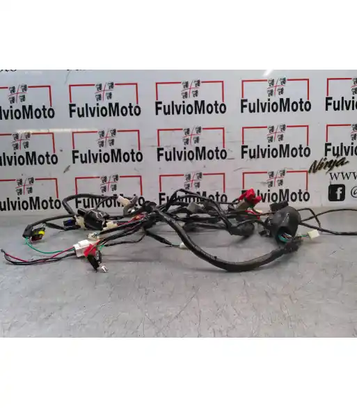 Faisceau électrique NECO DINNO 125 – 2024 Retour Gratuit