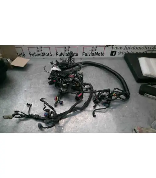 Offre Limitée Faisceau électrique HARLEY-DAVIDSON DYNA 1690 – 2012