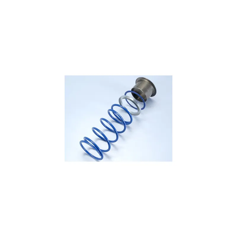 Offre Spéciale Ressort de variateur Polini Evo Slider Gilera GP800 Aprilia SRV 850