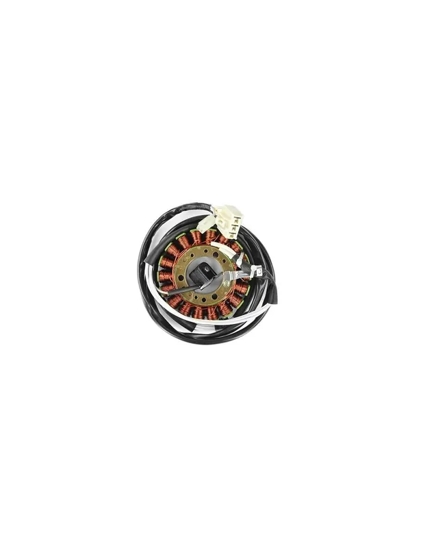 Offre Limitée Stator allumage Yamaha TMAX 500 08-11