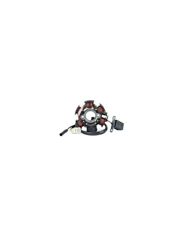 Stator allumage Peugeot 50 Ludix Citystar Kisbee New Vivacity Speedfight 3 Bon Plan