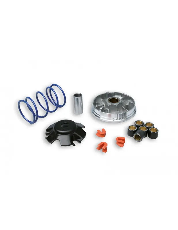 Variateur Malossi Multivar Peugeot 100 Elyseo Speedfight Trekker Vivacity NO CAT Prix Promo