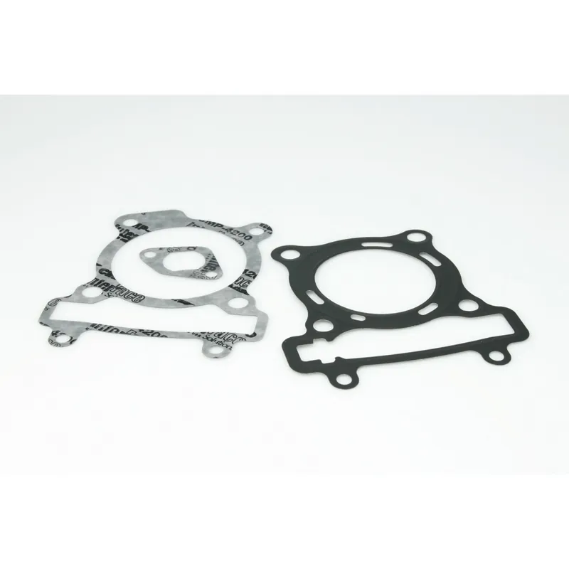 Produit De Marque Pochette de joints pour kit Malossi Xmax 125 06-20