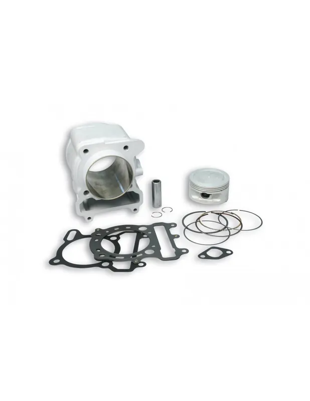 Cylindre Malossi complet Ø 74 alum Xmax 250i Evolis 250i (à monter avec boitier 5514235) Meilleur Prix