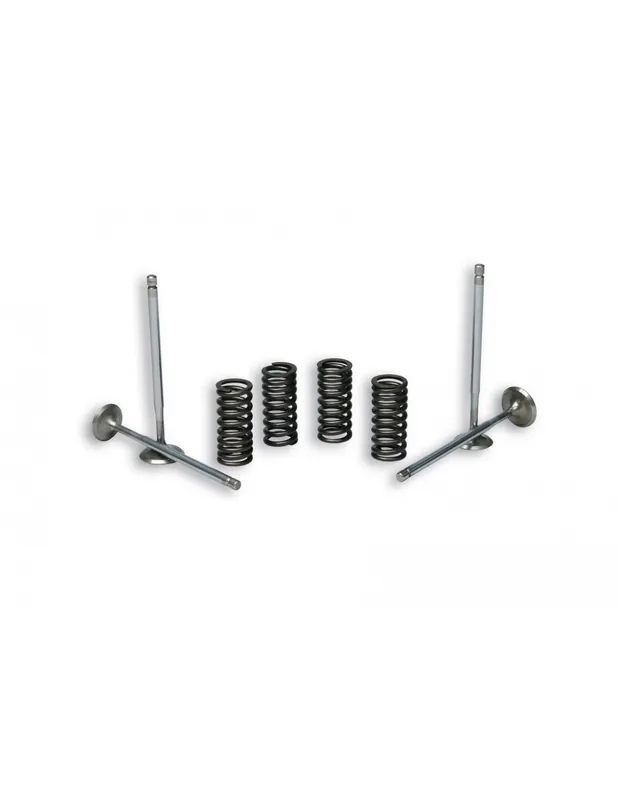 Bon Plan Soupapes Malossi Majorées avec ressorts Vespa GTS 300 08-18 / Super GTS 300 08-18