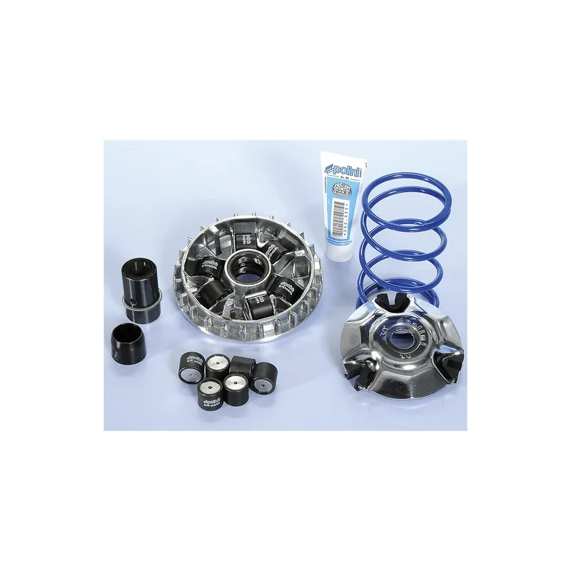Prix Cassé Variateur Polini Aprilia SR Max 125 11-14