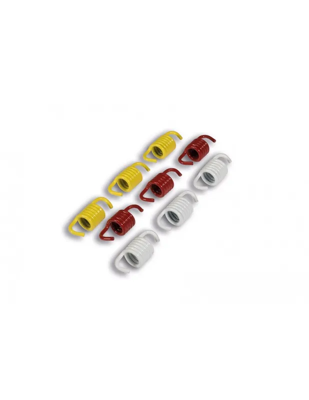 Acheter En Ligne Ressorts d’embrayage Malossi Sym HD 300 depuis 2019 (pour Embr. Origine et Delta)