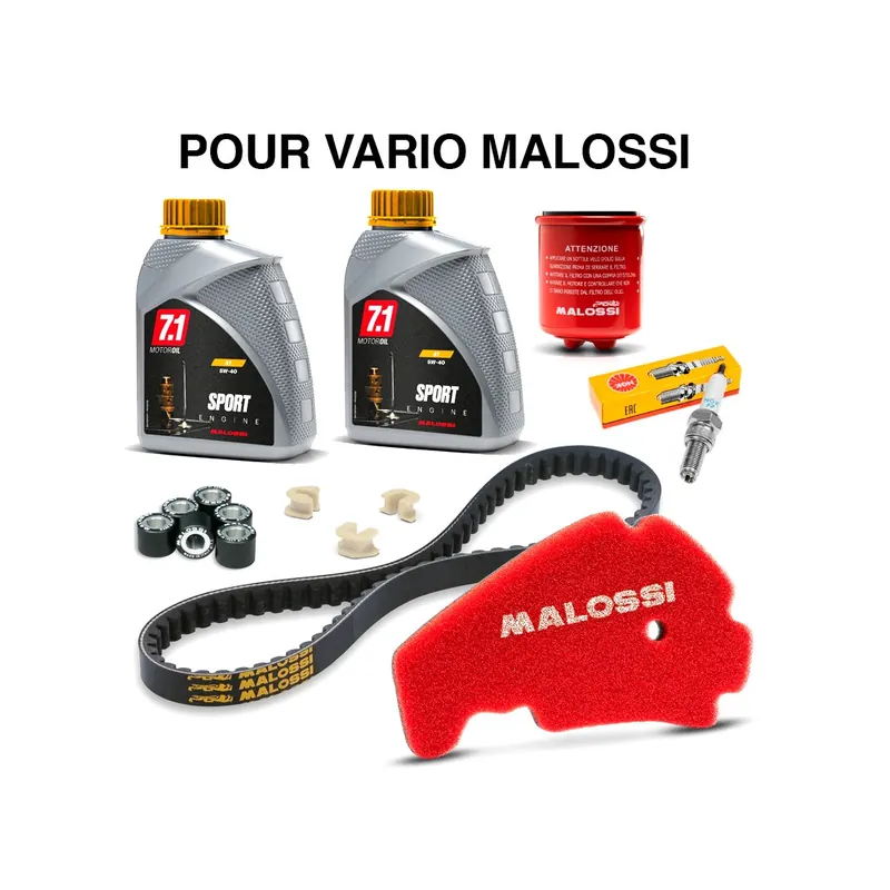 Kit révision Aprilia SR MAX 125 (pour vario Malossi) Affaire À Saisir