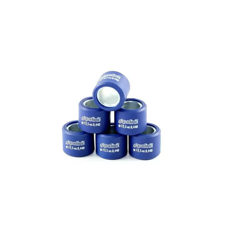 Dernière Chance Galets Variateur 16 x 13mm – POLINI 2.80