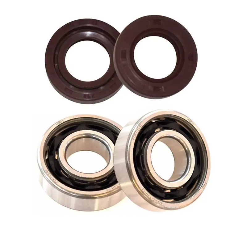 Kit Roulements C3 + Joints Spi Viton AM6 – MVT 6303 + 6204 Seulement Aujourd&rsquo;hui