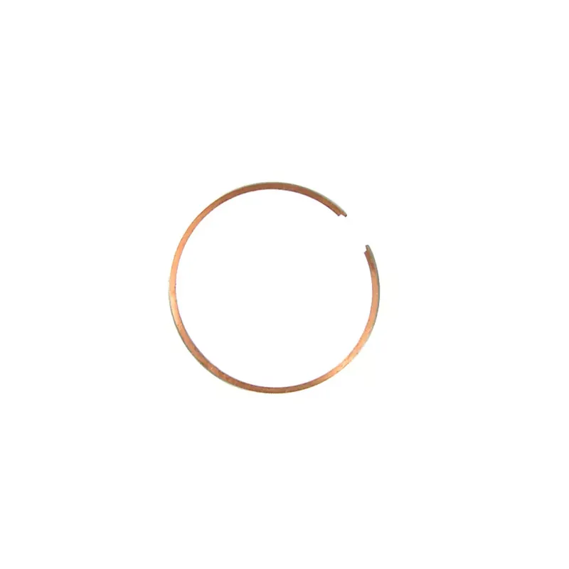 Authentique Segment 40 x 1mm – BARIKIT Ergot Central Chromé