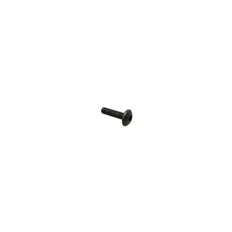 VIS TORX (6x25) TETE BOMBEE ORIGINE PIAGGIO COMMUN A LA GAMME Retour Gratuit