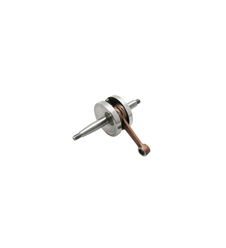 VILEBREQUIN TOP + ROULEMENT ET SPI MINARELLI AM6 RIEJU MRT SHERCO BETA Must-Have