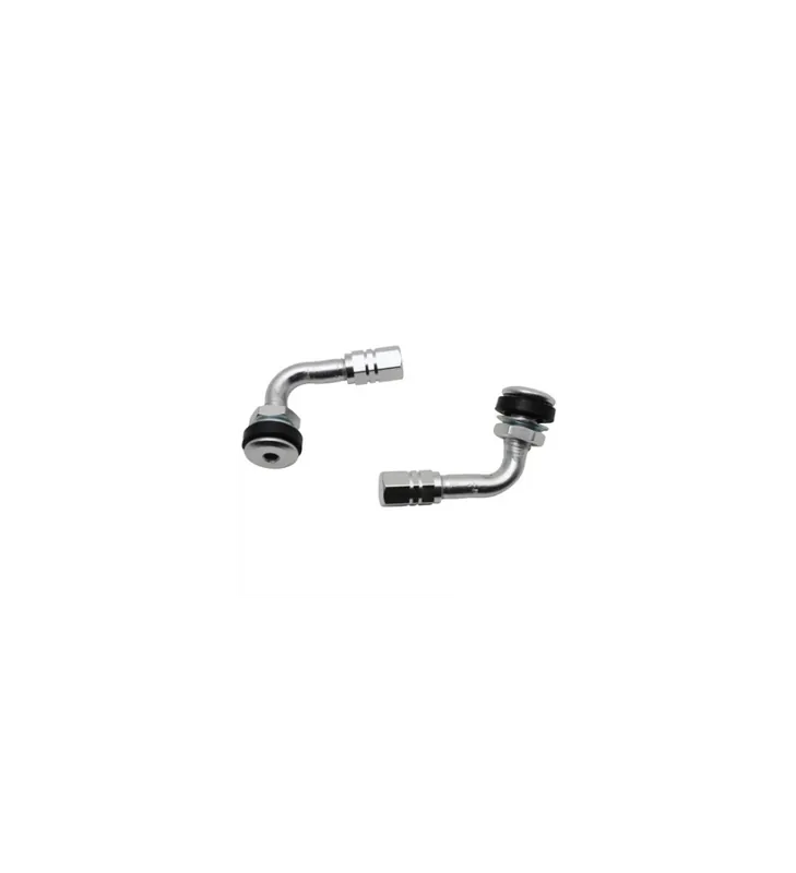 VALVE DE PNEU REPLAY ALU DEPORTE ARGENT (PAIRE) Commande En Gros