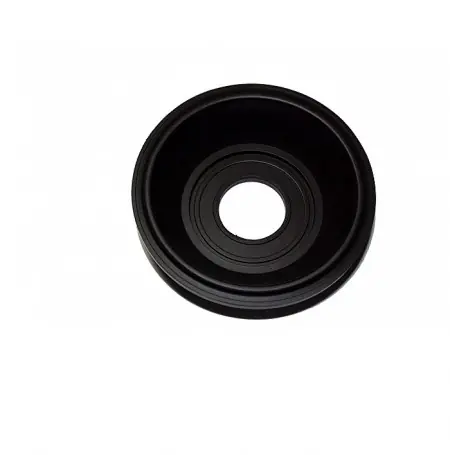 Nouvel Arrivage Membrane de boisseau pour Kawasaki KLX 250R D2-D4
